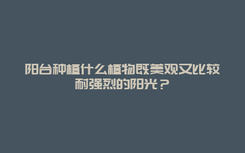 阳台种植什么植物既美观又比较耐强烈的阳光？