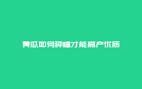 黄瓜如何种植才能高产优质