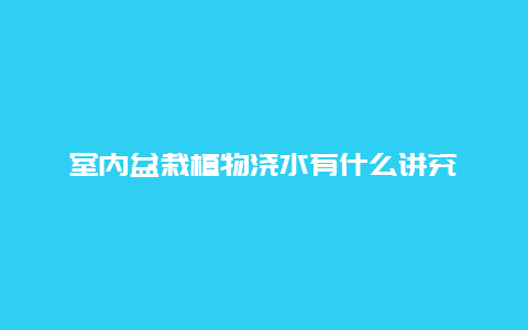 室内盆栽植物浇水有什么讲究