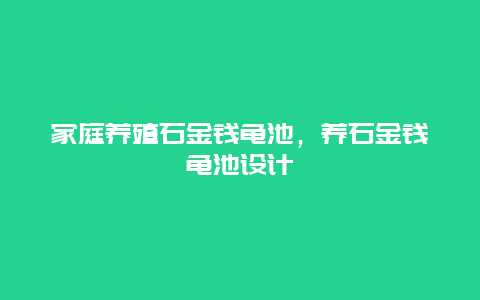 家庭养殖石金钱龟池，养石金钱龟池设计