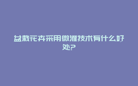 盆栽花卉采用微灌技术有什么好处?