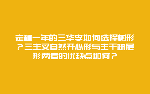 定植一年的三华李如何选择树形？三主叉自然开心形与主干疏层形两者的优缺点如何？