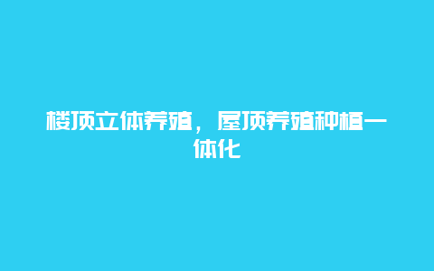 楼顶立体养殖，屋顶养殖种植一体化