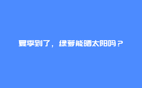 夏季到了，绿萝能晒太阳吗？