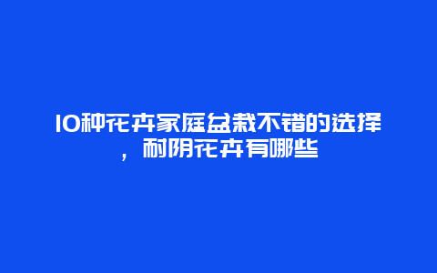 10种花卉家庭盆栽不错的选择，耐阴花卉有哪些