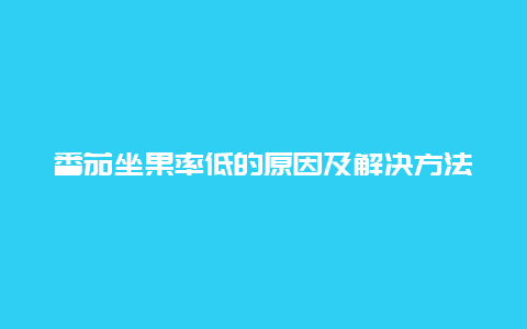 番茄坐果率低的原因及解决方法