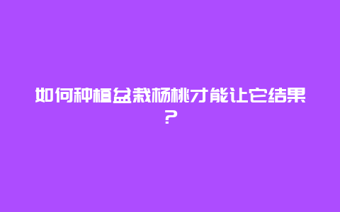 如何种植盆栽杨桃才能让它结果？