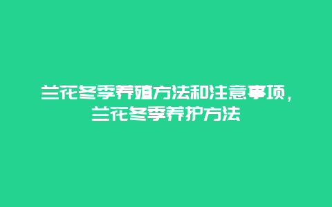 兰花冬季养殖方法和注意事项，兰花冬季养护方法