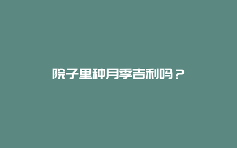 院子里种月季吉利吗？