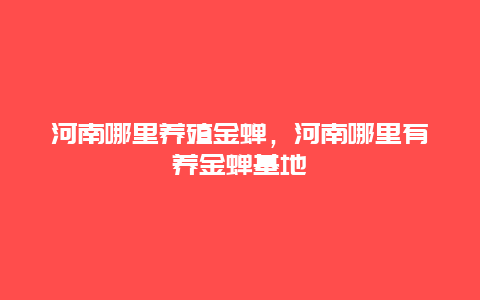 河南哪里养殖金蝉，河南哪里有养金蝉基地