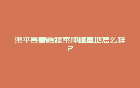 梁平县春霞蔬菜种植基地怎么样？