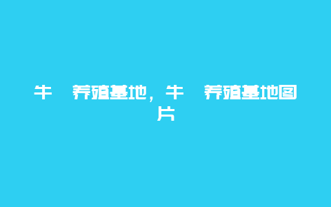 牛犊养殖基地，牛犊养殖基地图片