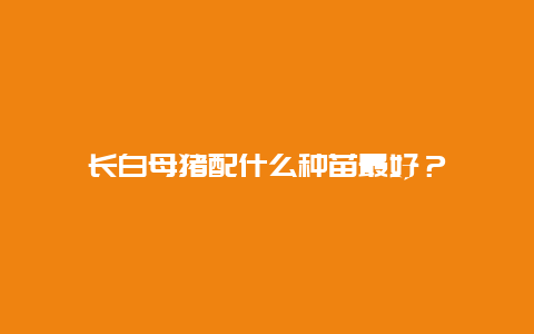 长白母猪配什么种苗最好？