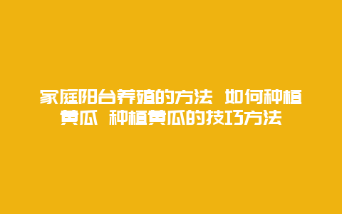 家庭阳台养殖的方法 如何种植黄瓜 种植黄瓜的技巧方法