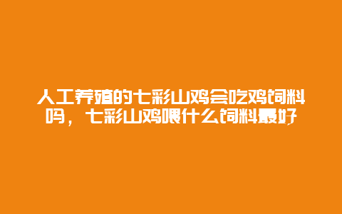 人工养殖的七彩山鸡会吃鸡饲料吗，七彩山鸡喂什么饲料最好