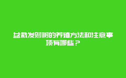 盆栽发财树的养殖方法和注意事项有哪些？