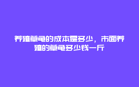 养殖草龟的成本是多少，市面养殖的草龟多少钱一斤