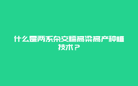 什么是两系杂交糯高粱高产种植技术？