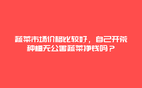 蔬菜市场价格比较好，自己开荒种植无公害蔬菜挣钱吗？