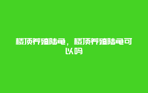 楼顶养殖陆龟，楼顶养殖陆龟可以吗