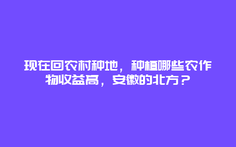 现在回农村种地，种植哪些农作物收益高，安徽的北方？