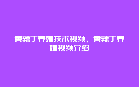 黄辣丁养殖技术视频，黄辣丁养殖视频介绍