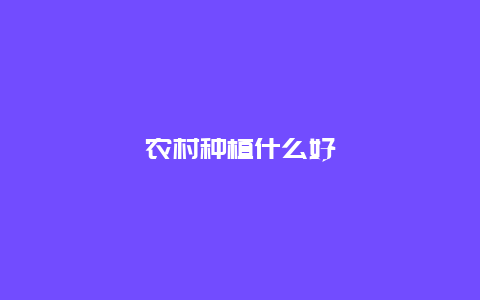 农村种植什么好