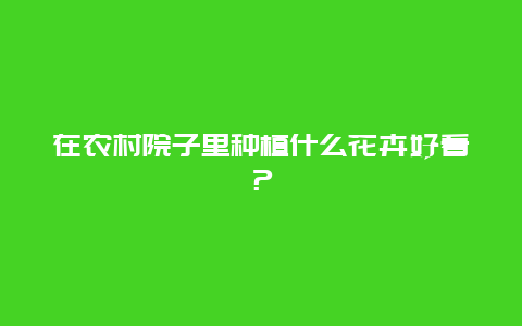 在农村院子里种植什么花卉好看？