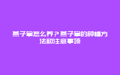 燕子掌怎么养？燕子掌的种植方法和注意事项