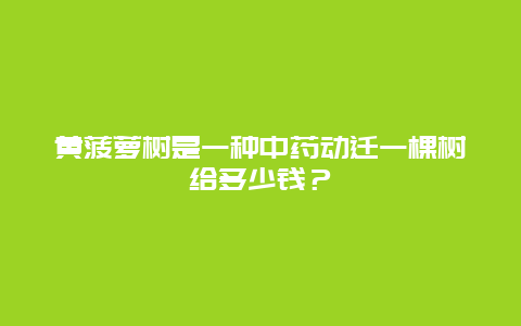 黄菠萝树是一种中药动迁一棵树给多少钱？