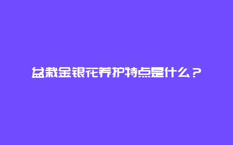 盆栽金银花养护特点是什么？