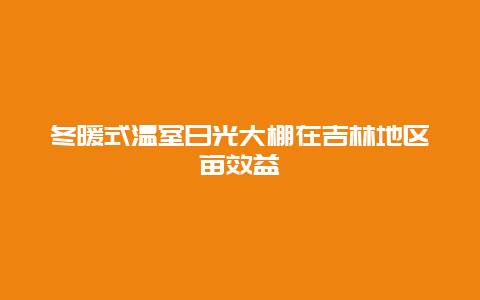 冬暖式温室日光大棚在吉林地区亩效益