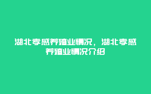 湖北孝感养殖业情况，湖北孝感养殖业情况介绍