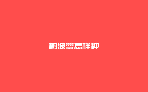 树波箩怎样种