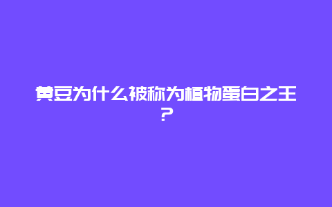 黄豆为什么被称为植物蛋白之王？