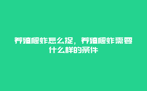 养殖爬蚱怎么捉，养殖爬蚱需要什么样的条件