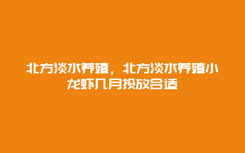 北方淡水养殖，北方淡水养殖小龙虾几月投放合适