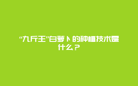 “九斤王”白萝卜的种植技术是什么？