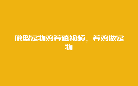 微型宠物鸡养殖视频，养鸡做宠物