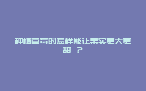 种植草莓时怎样能让果实更大更甜 ？