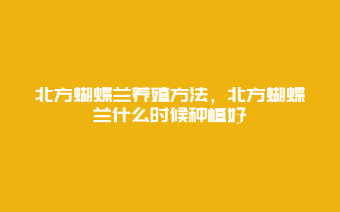 北方蝴蝶兰养殖方法，北方蝴蝶兰什么时候种植好