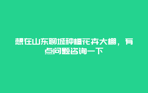 想在山东聊城种植花卉大棚，有点问题咨询一下