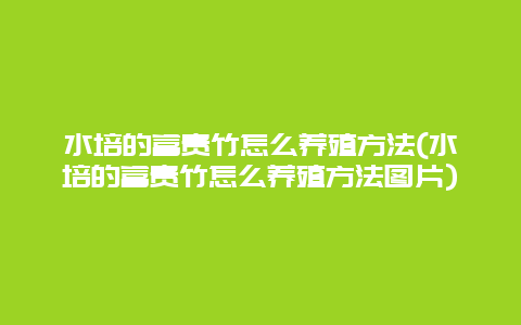 水培的富贵竹怎么养殖方法(水培的富贵竹怎么养殖方法图片)