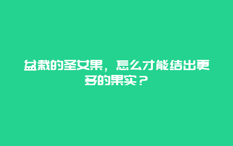 盆栽的圣女果，怎么才能结出更多的果实？