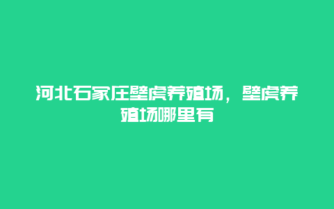 河北石家庄壁虎养殖场，壁虎养殖场哪里有