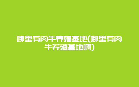 哪里有肉牛养殖基地(哪里有肉牛养殖基地啊)