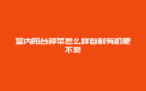 室内阳台种菜怎么样自制有机肥不臭