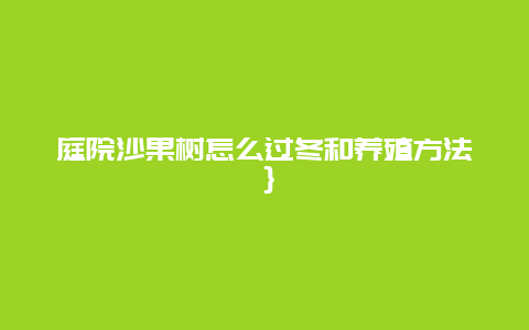 庭院沙果树怎么过冬和养殖方法｝