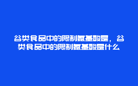 谷类食品中的限制氨基酸是，谷类食品中的限制氨基酸是什么