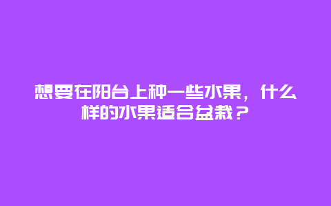 想要在阳台上种一些水果，什么样的水果适合盆栽？